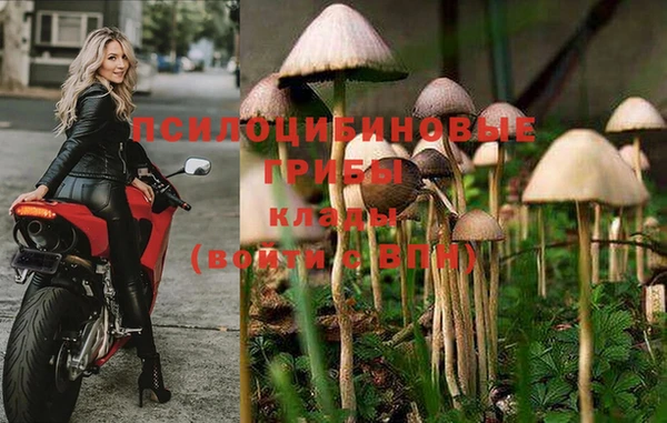 меф Бородино