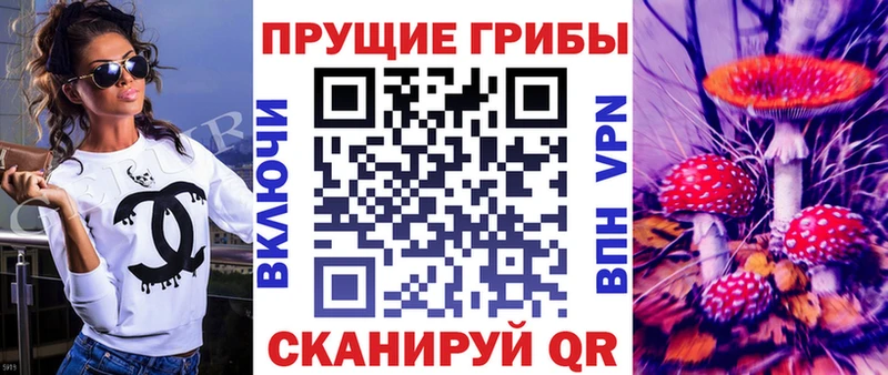 Псилоцибиновые грибы Cubensis  цены   Козловка 